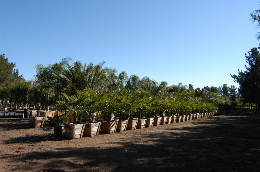 Map and Directions to All Tropical Palms Nursery in Gilroy, CA 95020